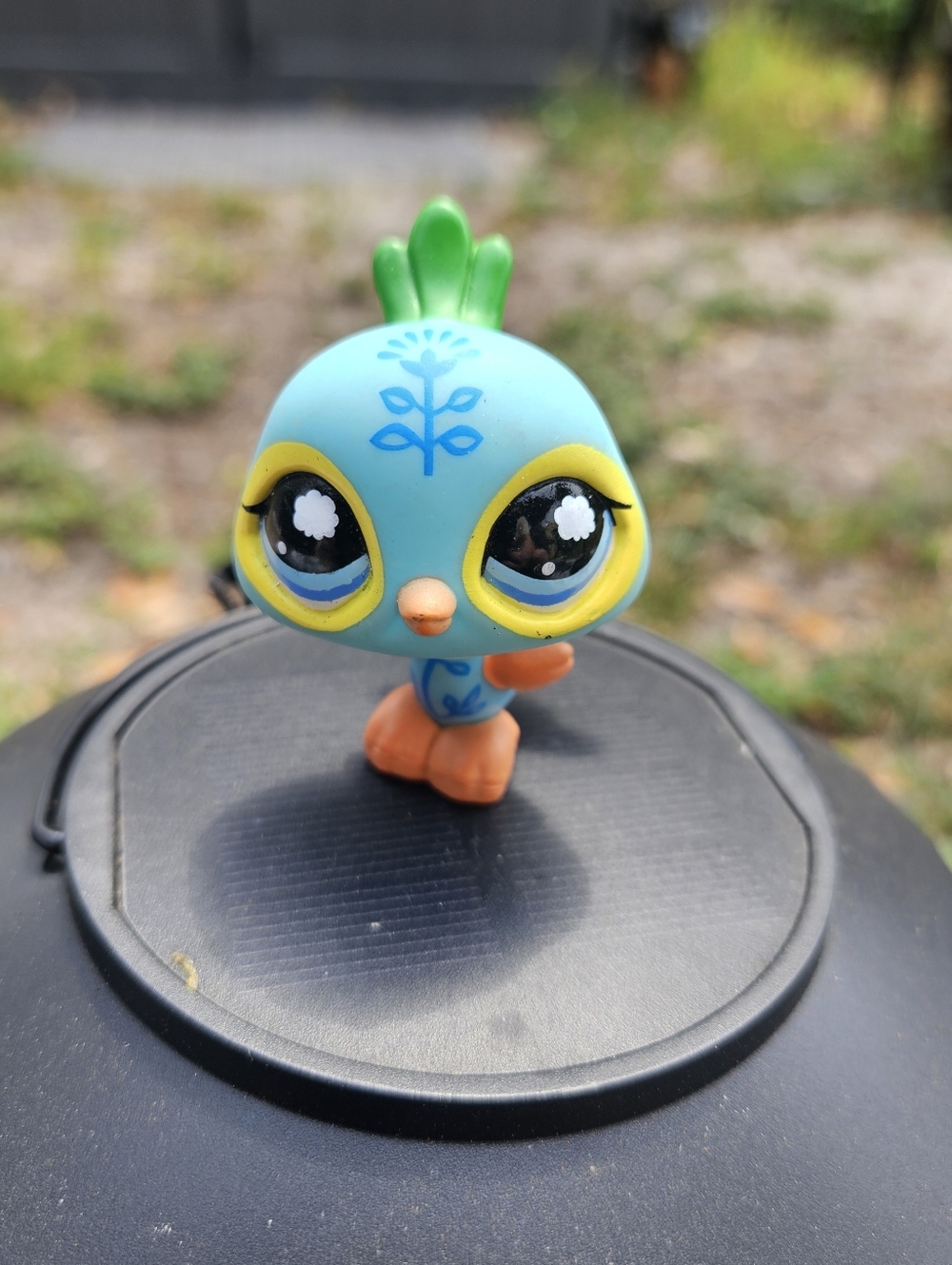 Littlest Pet Shop Blue Peacock With Tattoo #1069 LPS Hasbro LPS